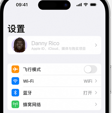 诸城appleID维修服务iPhone设置中Apple ID显示为灰色无法使用 