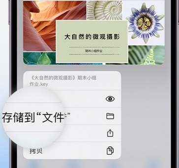 诸城apple维修中心分享iPhone文件应用中存储和找到下载文件