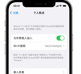 诸城apple服务站点分享iPhone上个人热点丢失了怎么办 