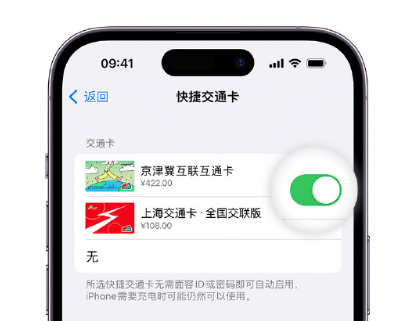 诸城apple维修点分享iPhone上更换Apple Pay快捷交通卡手绘卡面 