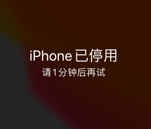 诸城苹果手机维修分享:iPhone 显示“不可用”或“已停用”怎么办？还能保留数据吗？ 