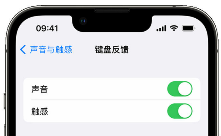 诸城苹果手机维修分享iPhone 14触感键盘使用方法 