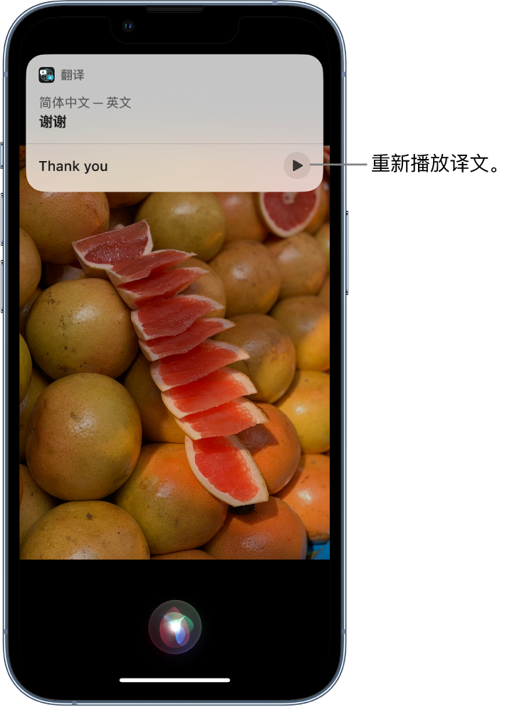 诸城苹果14维修分享 iPhone 14 机型中使用 Siri：了解 Siri 能帮你做什么 