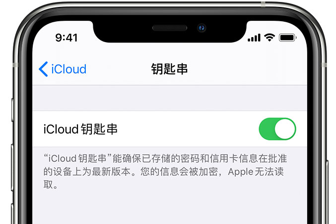 诸城苹果手机维修分享在 iPhone 上开启 iCloud 钥匙串之后会储存哪些信息 