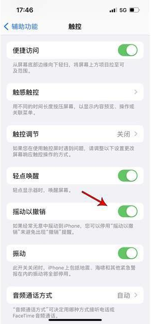 诸城苹果手机维修分享iPhone手机如何设置摇一摇删除文字 